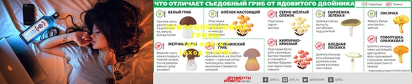 метамфетамин Алексин