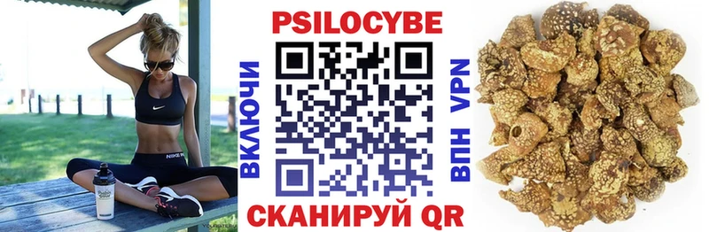 Псилоцибиновые грибы Psilocybe  где можно купить наркотик  Бикин 